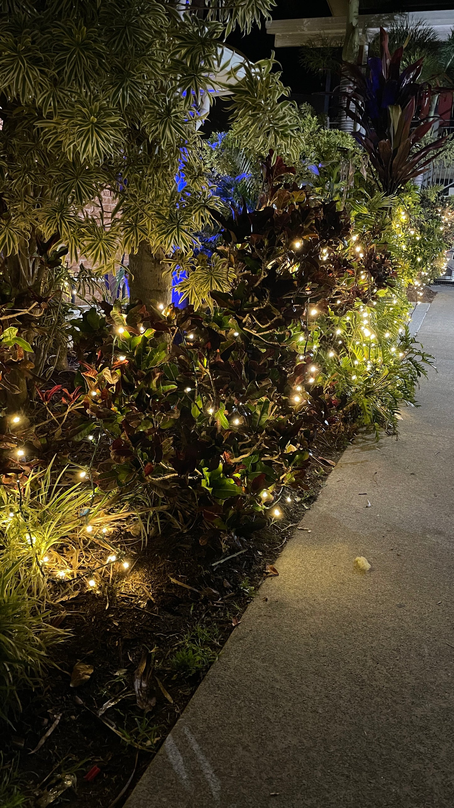 EventLite 24v Connectable LED Fairy Lights - 20m