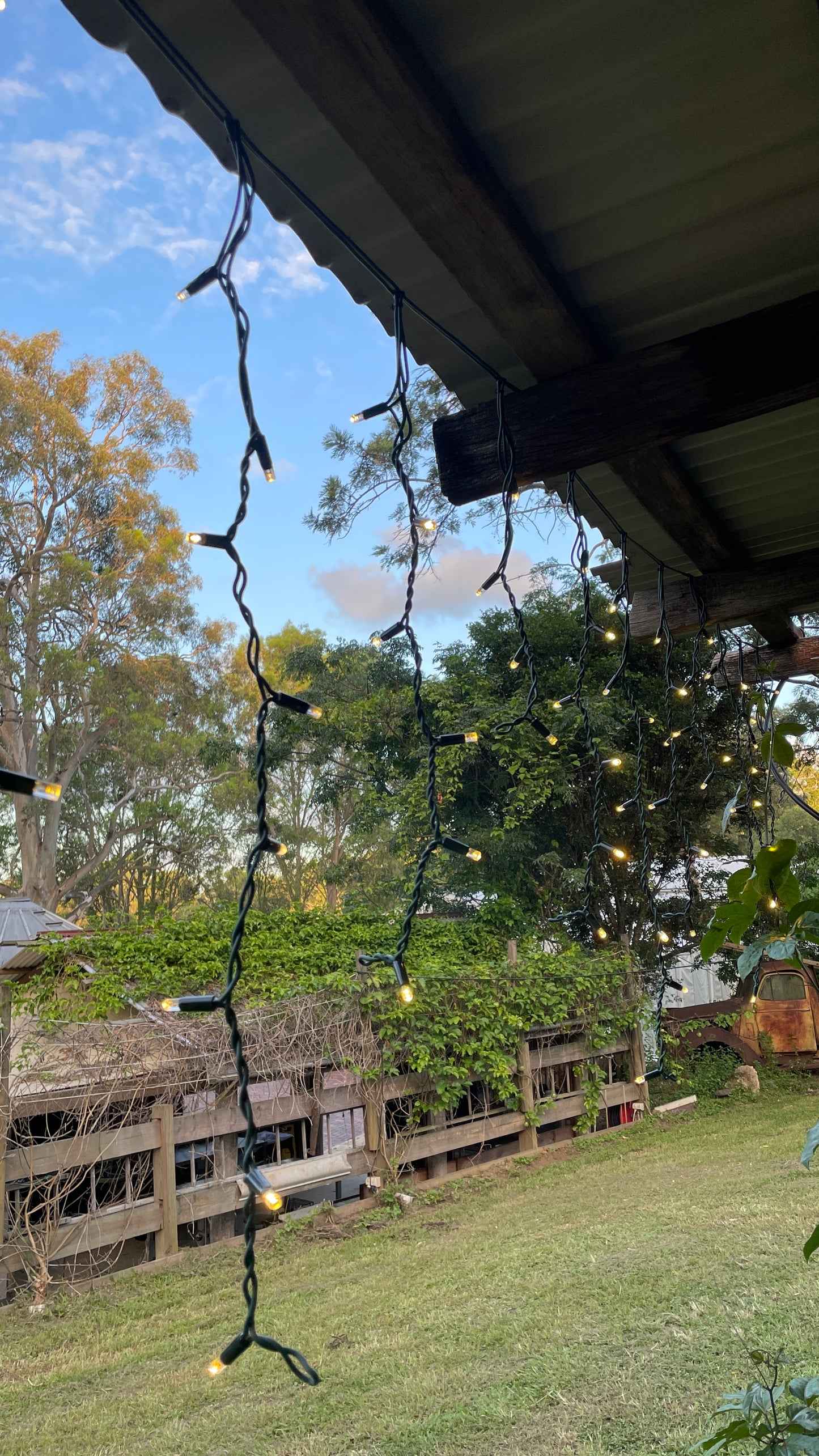 EventLite 24v Connectable LED Icicle Fairy Lights