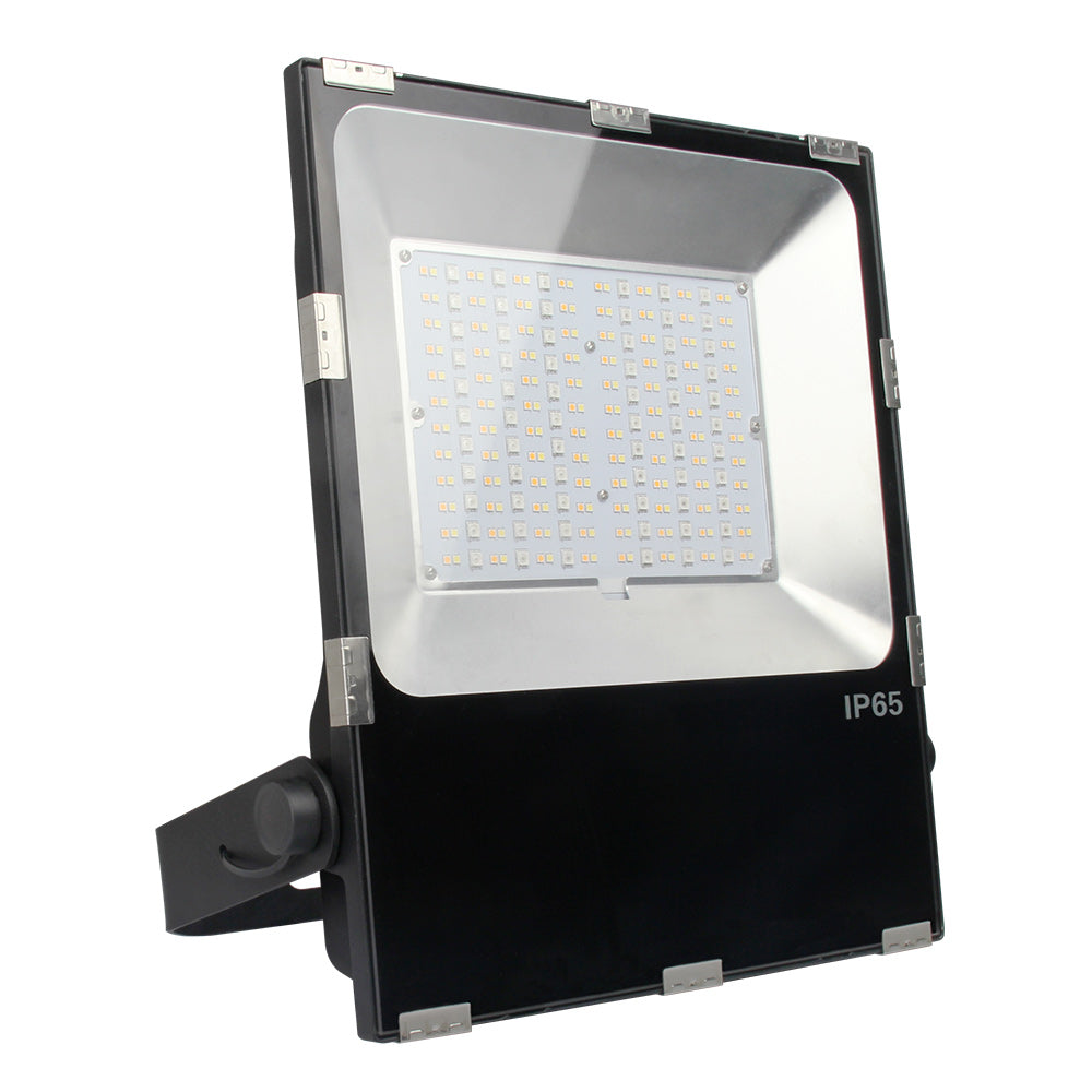 100W RGB+CCT Smart LED Floodlight (DC24v + 2.4GHz)