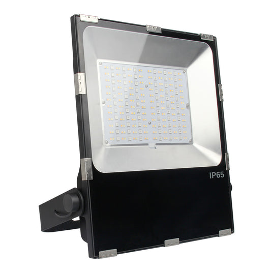 100W RGB+CCT Smart LED Floodlight (DC24v + 2.4GHz)