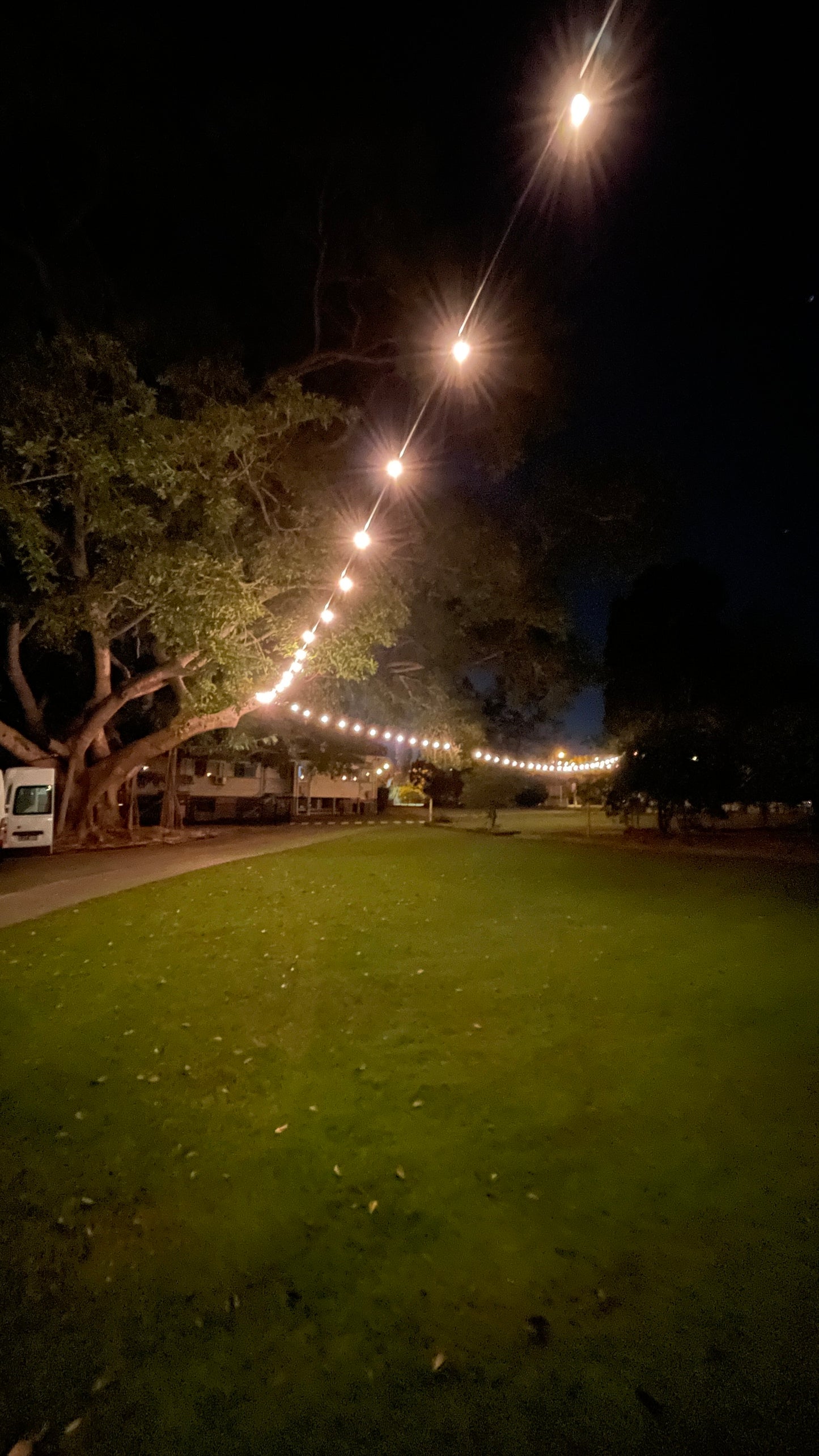 25m Vintage Connectable Festoon Kit with Bulbs