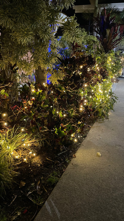 EventLite 24v Connectable LED Fairy Lights - 10m