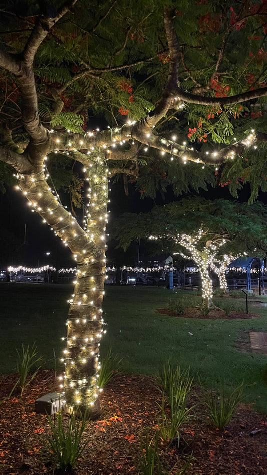 Fairy Light Tree Kit - Small (40m)