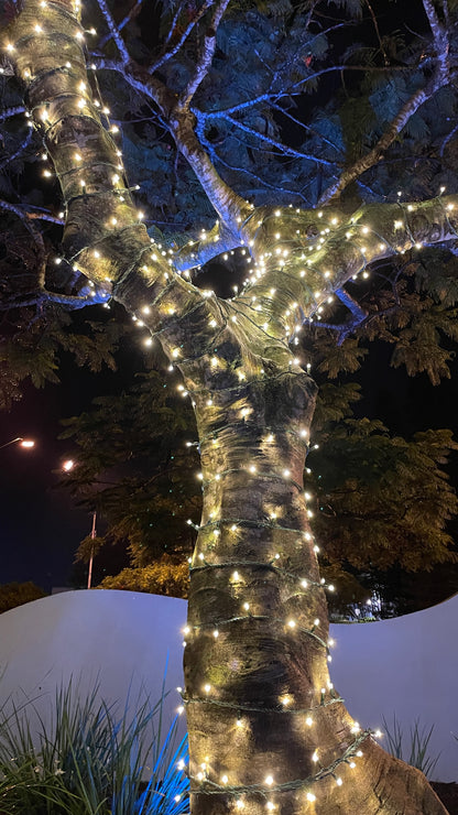 EventLite 24v Connectable LED Fairy Lights - 20m
