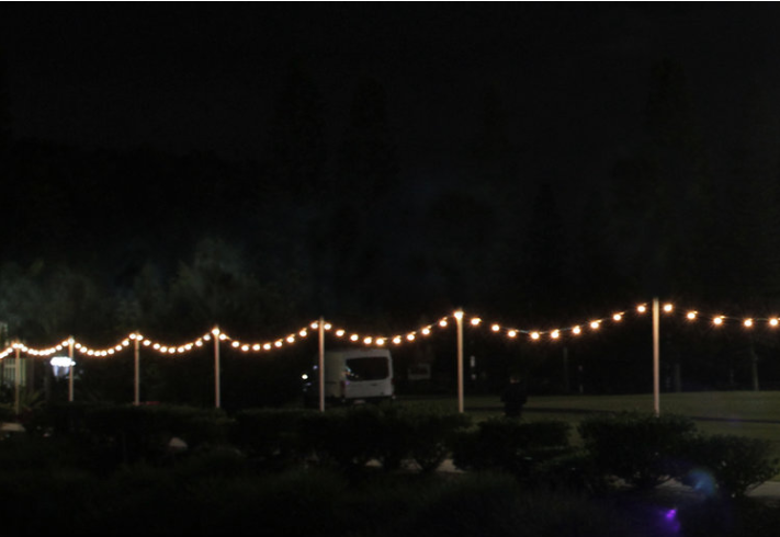 25m Vintage Connectable Festoon Kit with Bulbs