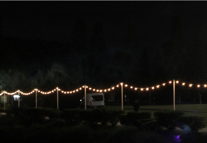 25m Vintage Connectable Festoon Kit with Bulbs
